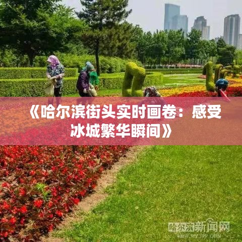 《哈尔滨街头实时画卷：感受冰城繁华瞬间》