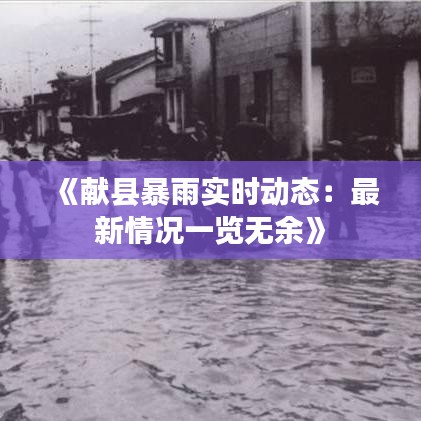 《献县暴雨实时动态：最新情况一览无余》