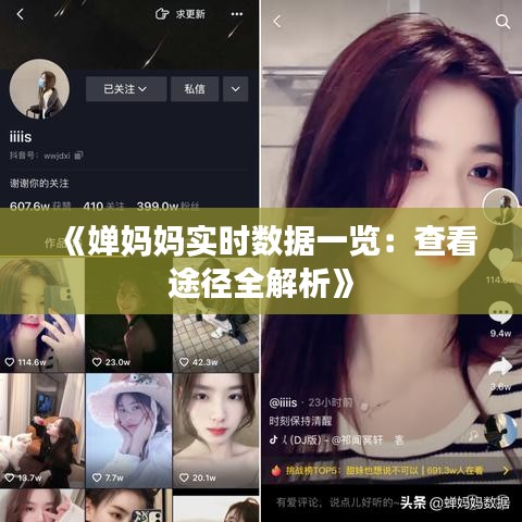 《婵妈妈实时数据一览：查看途径全解析》