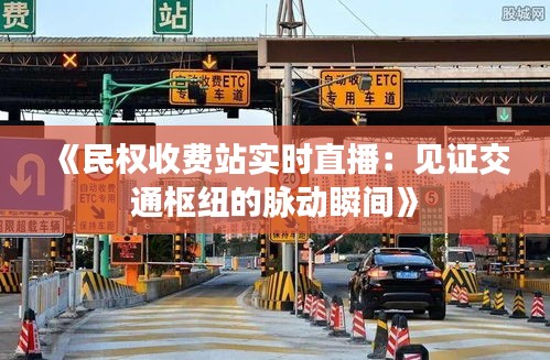 《民权收费站实时直播：见证交通枢纽的脉动瞬间》