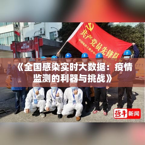 《全国感染实时大数据：疫情监测的利器与挑战》