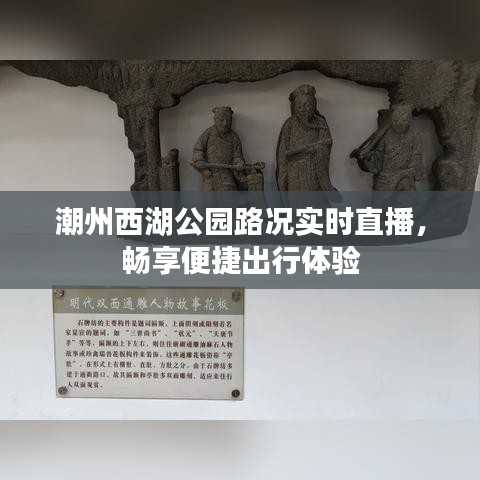 潮州西湖公园路况实时直播，畅享便捷出行体验