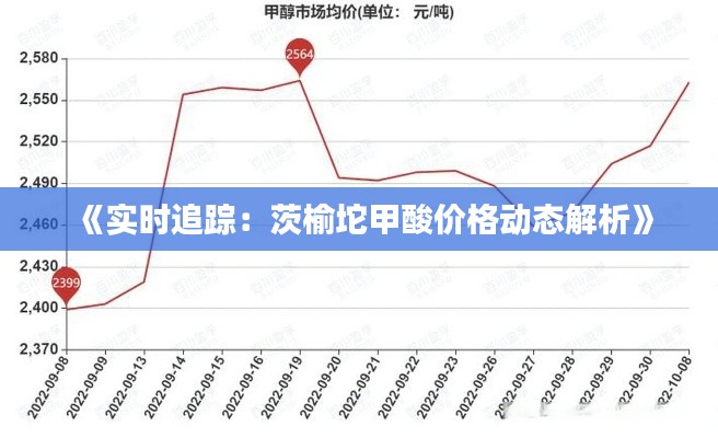 《实时追踪：茨榆坨甲酸价格动态解析》