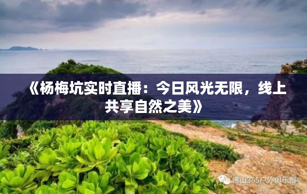 《杨梅坑实时直播：今日风光无限，线上共享自然之美》