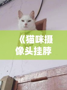 《猫咪摄像头挂脖：实时监控，爱宠生活更安心》