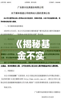 《揭秘基金不实时公布之谜：原因与影响分析》