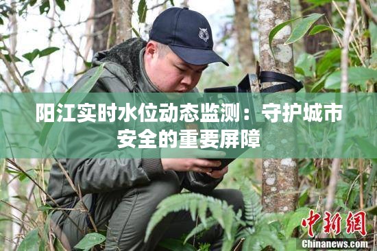 阳江实时水位动态监测：守护城市安全的重要屏障