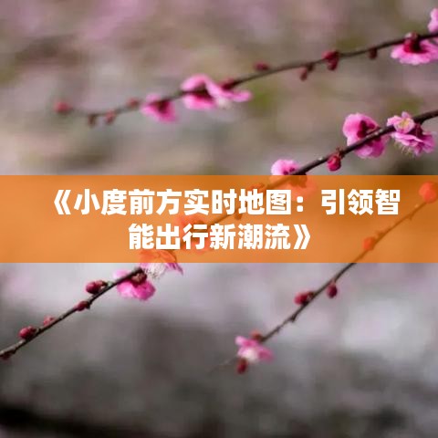 《小度前方实时地图：引领智能出行新潮流》