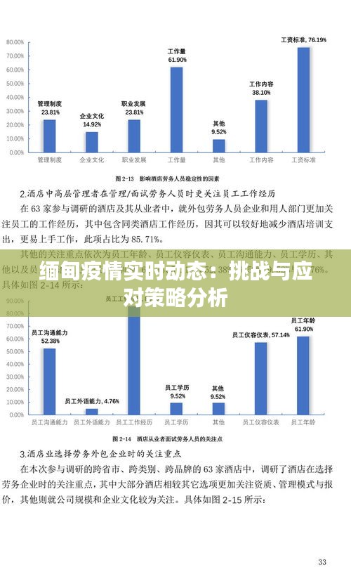 缅甸疫情实时动态：挑战与应对策略分析