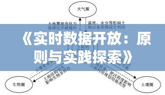 《实时数据开放：原则与实践探索》