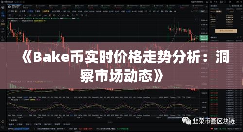 《Bake币实时价格走势分析：洞察市场动态》