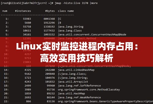 Linux实时监控进程内存占用：高效实用技巧解析