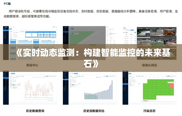 《实时动态监测：构建智能监控的未来基石》