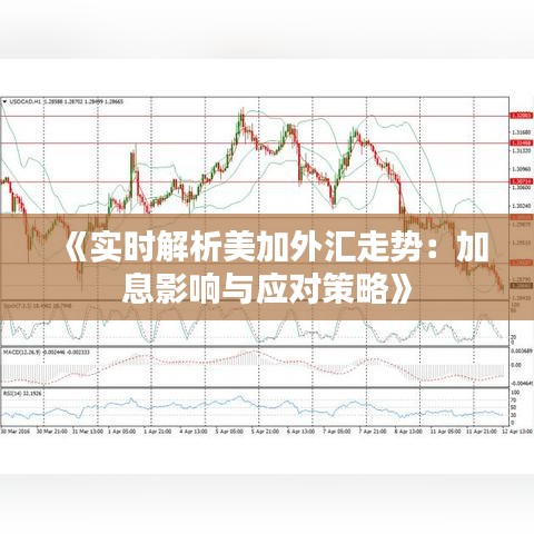 《实时解析美加外汇走势：加息影响与应对策略》