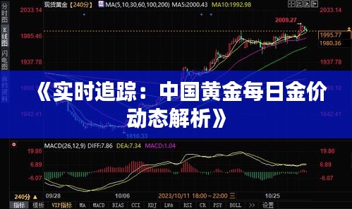 《实时追踪：中国黄金每日金价动态解析》