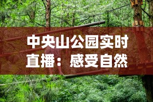 中央山公园实时直播：感受自然之美，尽享云端之旅