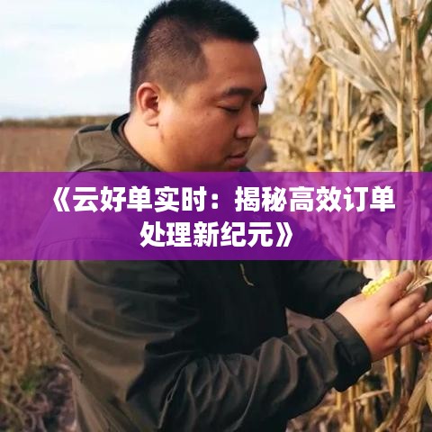 《云好单实时：揭秘高效订单处理新纪元》