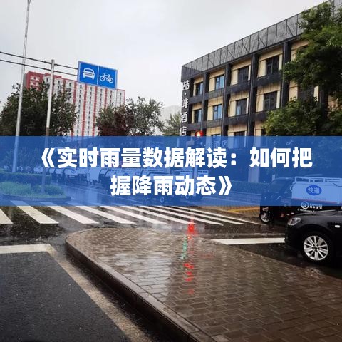 《实时雨量数据解读：如何把握降雨动态》