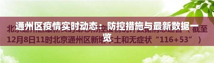 通州区疫情实时动态：防控措施与最新数据一览