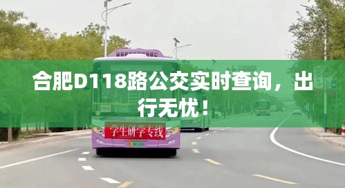 合肥D118路公交实时查询，出行无忧！