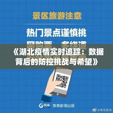 《湖北疫情实时追踪：数据背后的防控挑战与希望》