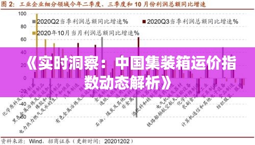 《实时洞察：中国集装箱运价指数动态解析》