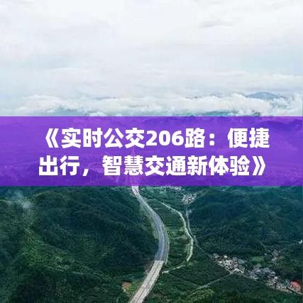 《实时公交206路：便捷出行，智慧交通新体验》