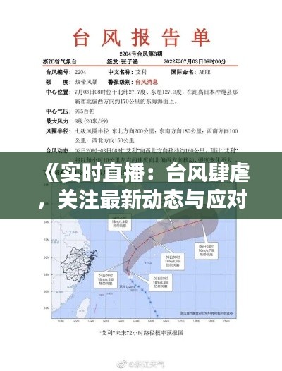 《实时直播：台风肆虐，关注最新动态与应对措施》