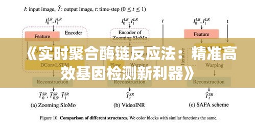 《实时聚合酶链反应法：精准高效基因检测新利器》