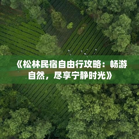 《松林民宿自由行攻略：畅游自然，尽享宁静时光》