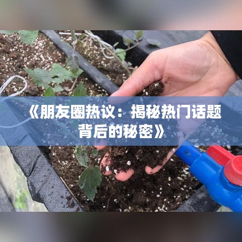 《朋友圈热议：揭秘热门话题背后的秘密》