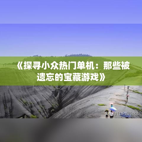 《探寻小众热门单机：那些被遗忘的宝藏游戏》