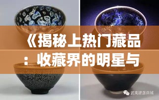 《揭秘上热门藏品：收藏界的明星与趋势》