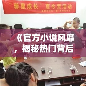 《官方小说风靡，揭秘热门背后的魅力与奥秘》