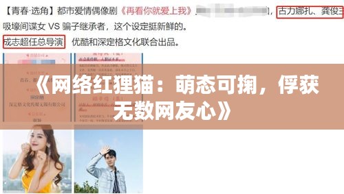 《网络红狸猫：萌态可掬，俘获无数网友心》