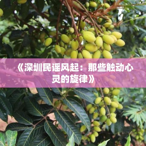 《深圳民谣风起：那些触动心灵的旋律》