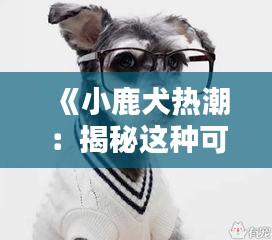 《小鹿犬热潮：揭秘这种可爱宠物的魅力所在》