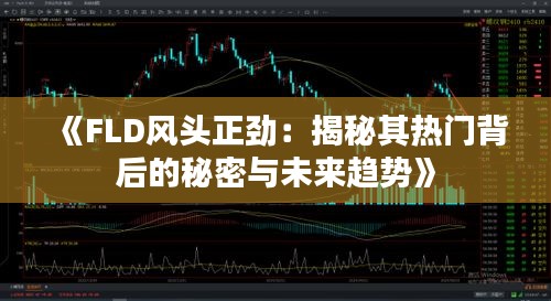 《FLD风头正劲：揭秘其热门背后的秘密与未来趋势》