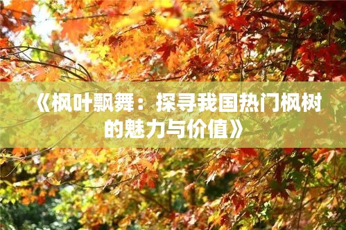 《枫叶飘舞：探寻我国热门枫树的魅力与价值》