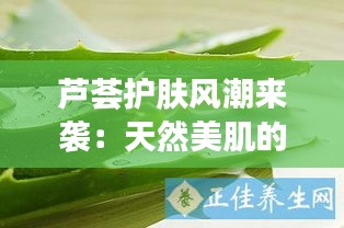 芦荟护肤风潮来袭：天然美肌的秘密武器