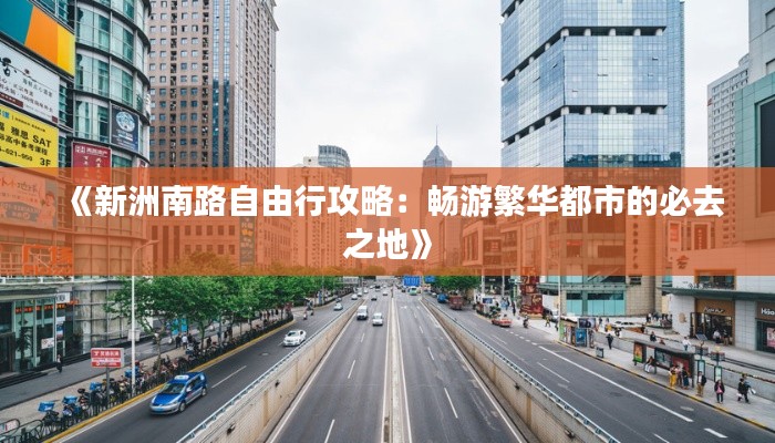 《新洲南路自由行攻略：畅游繁华都市的必去之地》