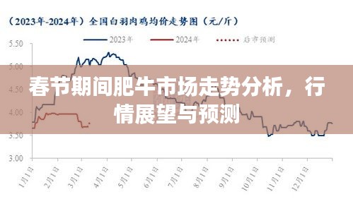 春节期间肥牛市场走势分析，行情展望与预测