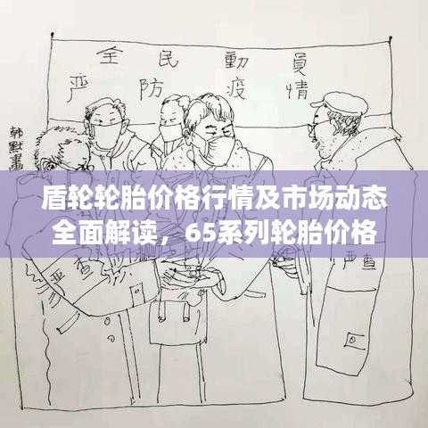 盾轮轮胎价格行情及市场动态全面解读，65系列轮胎价格走势深度剖析