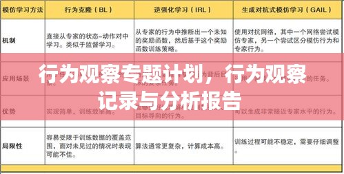 行为观察专题计划，行为观察记录与分析报告 