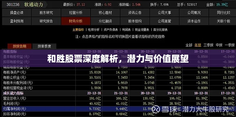 和胜股票深度解析，潜力与价值展望