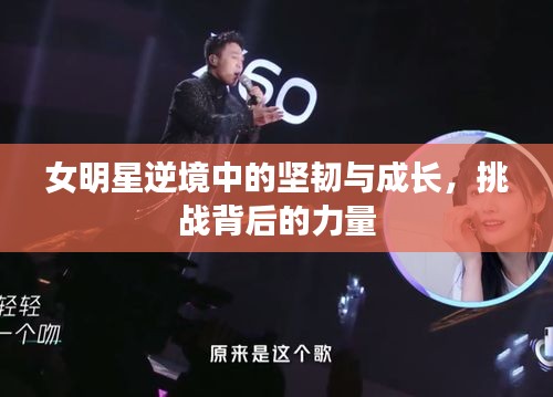 女明星逆境中的坚韧与成长，挑战背后的力量