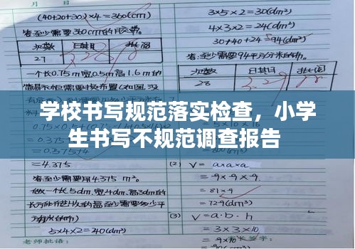 学校书写规范落实检查，小学生书写不规范调查报告 