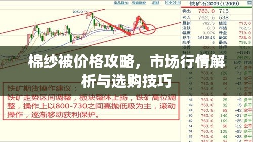 棉纱被价格攻略，市场行情解析与选购技巧