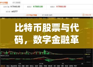 比特币股票与代码，数字金融革新的前沿探索