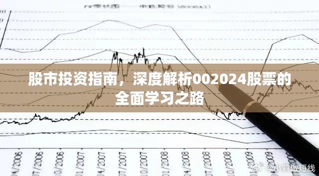 股市投资指南，深度解析002024股票的全面学习之路